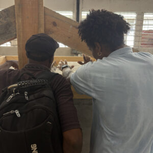 Le secteur du BTP en Martinique : un vivier d’emplois pour 2025